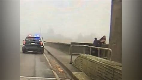 police officer falls off bridge